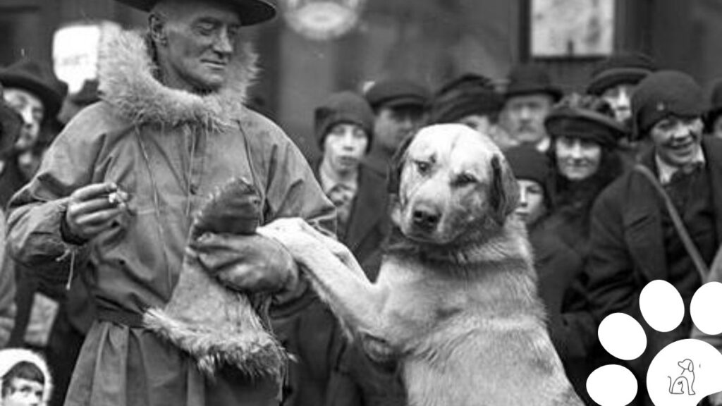 native american dog breeds