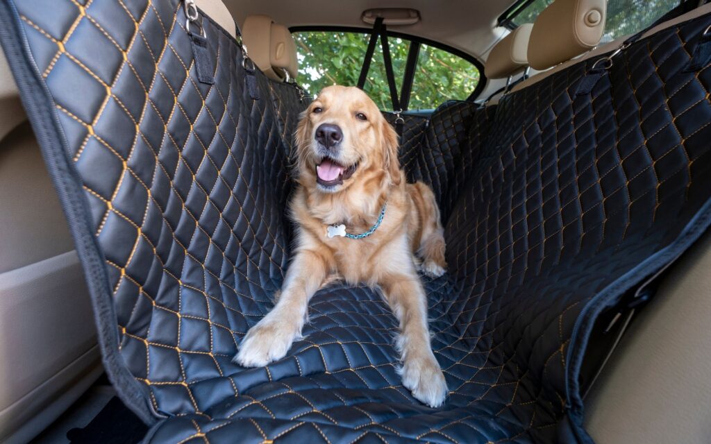 Best Car Seat Covers for Dogs