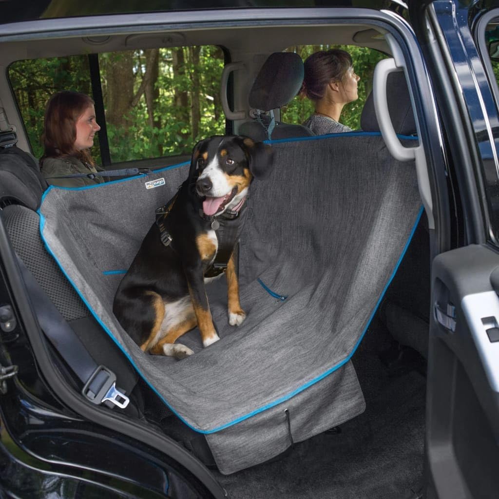 Best Car Seat Covers for Dogs