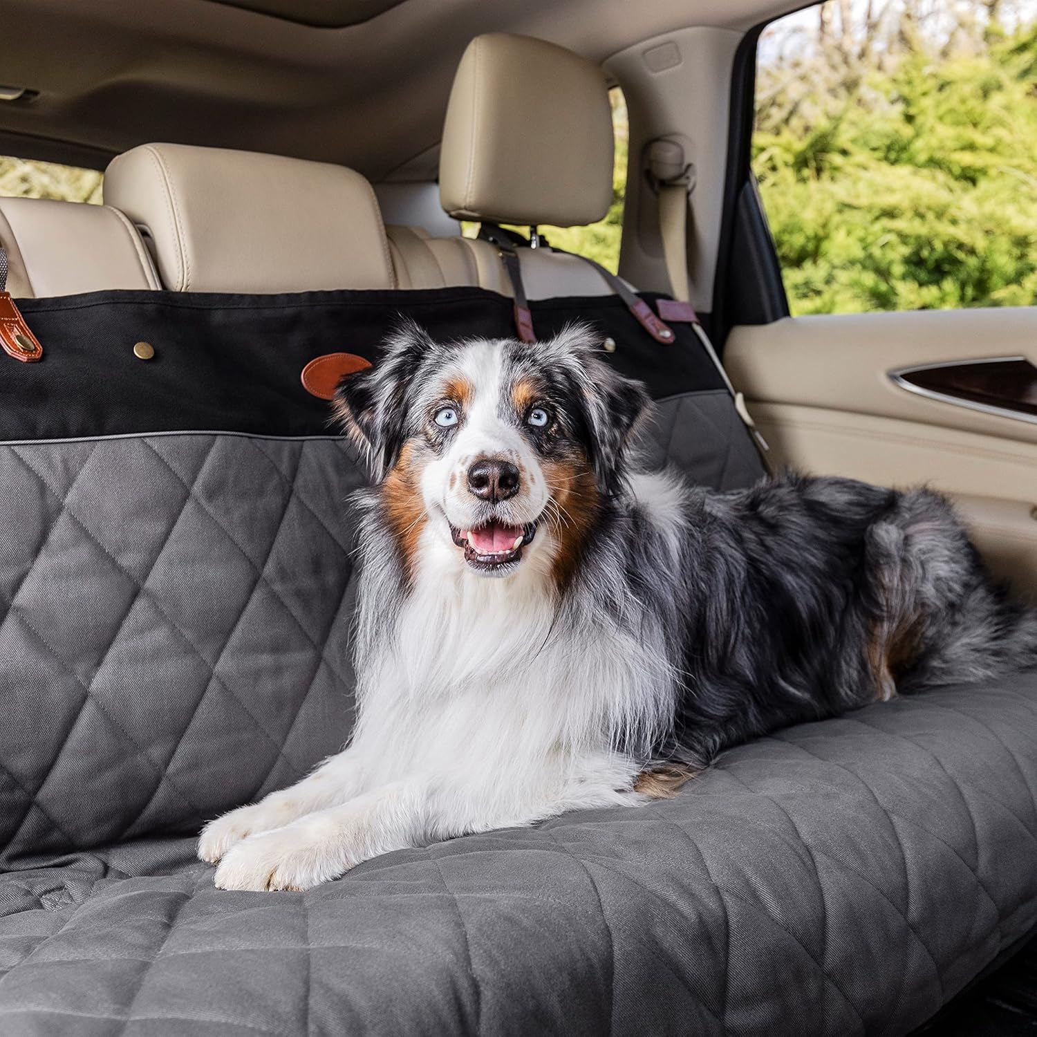 Best Car Seat Covers for Dogs